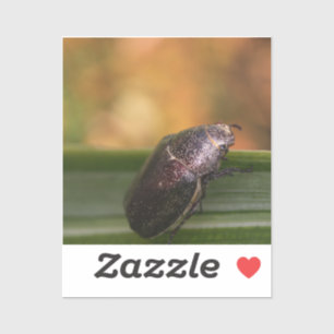 Hallo Welt! Aufkleber