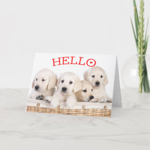 Hallo White Labrador Retriever Puppy Dog Red Heart Karte