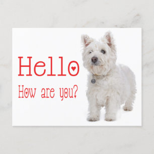 Hallo White West Highland Terrier Puppy Dog Postkarte