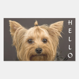 Hallo Yorkshire Terrier Yorkie Puppy Dog Stickers