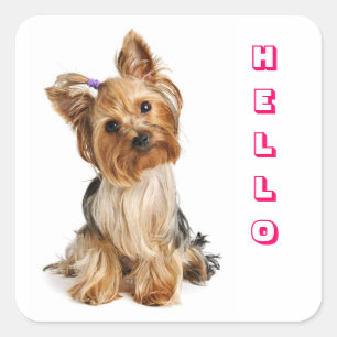 Hallo Yorkshire Terrier Yorkie Puppy Dog Stickers