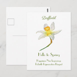 Hallo zum Frühling daffodin Aquarell Postcard Postkarte