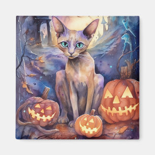 Halloween Abessinerkatze mit Pumpkins Beängstigend Magnet