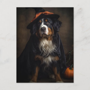 Halloween Adorable Witze Bernese Mountain Dog Postkarte