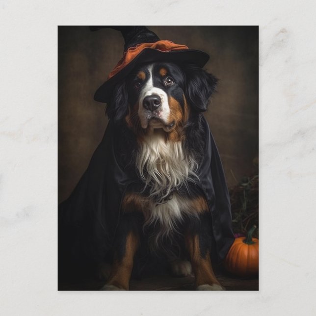 Halloween Adorable Witze Bernese Mountain Dog Postkarte (Vorderseite)