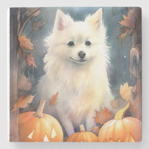 Halloween American Eskimo mit Pumpkins Beängstigen Steinuntersetzer