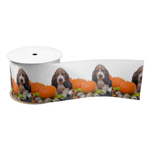 Halloween Basset Hund 3" Satinband