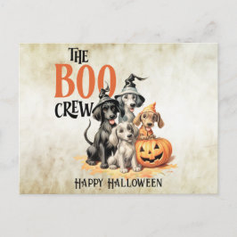 Halloween Beängstigend Boo Hogs Crew Orange Pumpki Postkarte