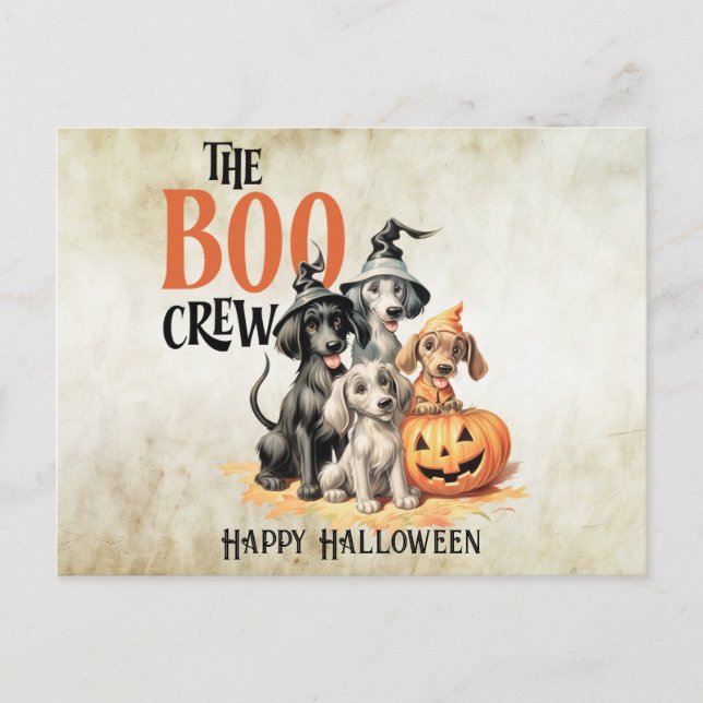 Halloween Beängstigend Boo Hogs Crew Orange Pumpki Postkarte (Vorderseite)
