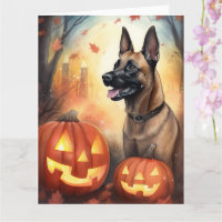 Halloween Belgischer Malinoi mit Kürbissen Gruseli