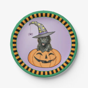 Halloween Belgium Sheepdog Pappteller