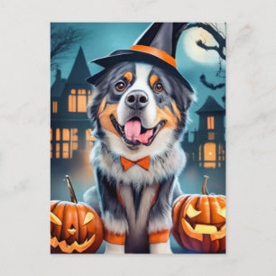 Halloween Bernese Mountain Dog Postkarte