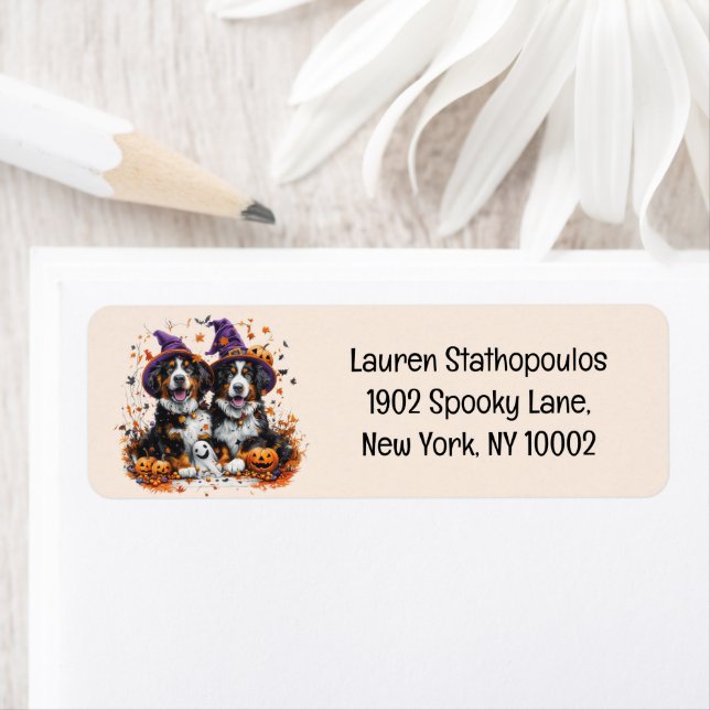 Halloween Bernese Mountain Hogs Hexenghost (Insitu)