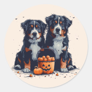 Halloween Bernese Mountain Hogs Pumpkin Runder Aufkleber