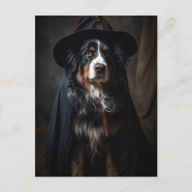 Halloween Bernese Mountain Hund Postcard Postkarte (Vorderseite)