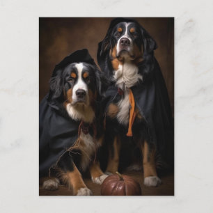 Halloween Bernese Mountain Hunde Postkarte
