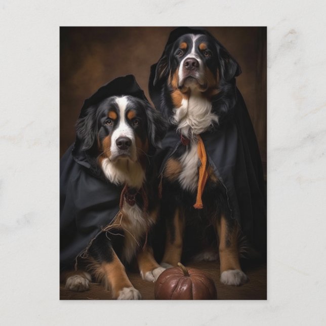 Halloween Bernese Mountain Hunde Postkarte (Vorderseite)