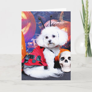 Halloween - Bichon Frise - Mia Karte