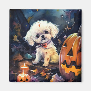Halloween Bichon Frise mit Pumpkins Beängstigend Magnet
