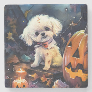 Halloween Bichon Frise mit Pumpkins Beängstigend Steinuntersetzer