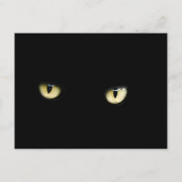 Halloween Black Cat Eyes Postcard