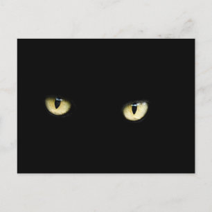 Halloween Black Cat Eyes Postcard Postkarte