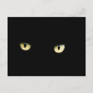 Halloween Black Cat Eyes Postcard Postkarte