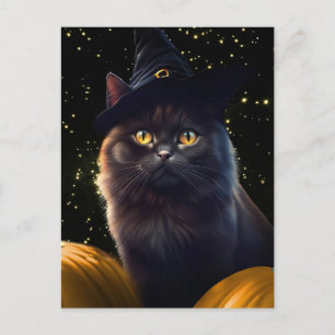 Halloween Black Cat Hexenhut und Kürbiskins Feiertagspostkarte