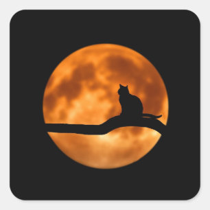 Halloween Black Cat Orange Harvest Moon Stickers