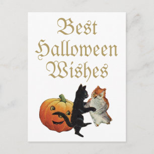 Halloween Black Cat, Owl und Pumpkin Postkarte