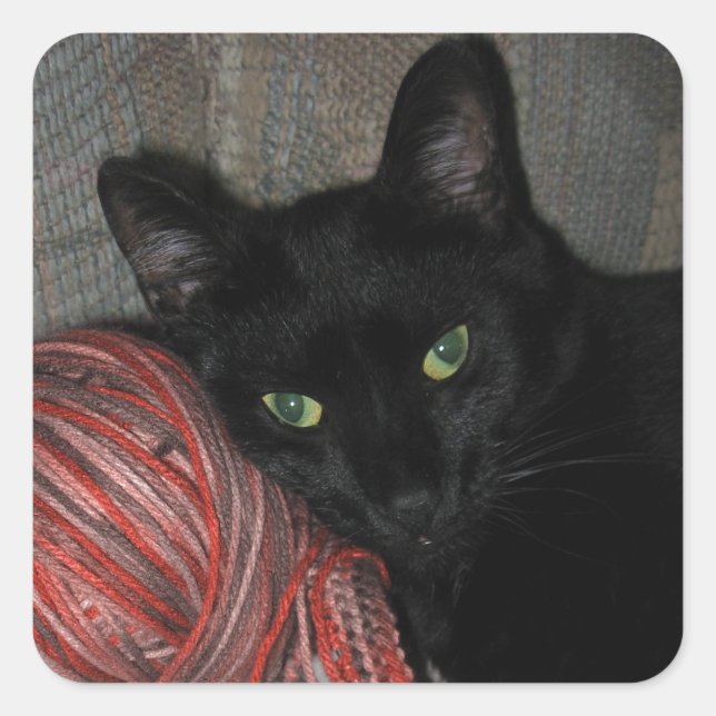 Halloween Black Cat Quadratischer Aufkleber (Vorderseite)