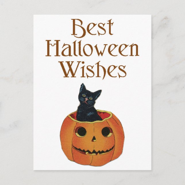 Halloween Black Cat und Pumpkin Postkarte (Vorderseite)