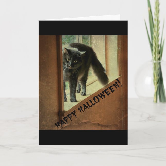 Halloween Black Cat, viel Spaß! Karte (Vorderseite)