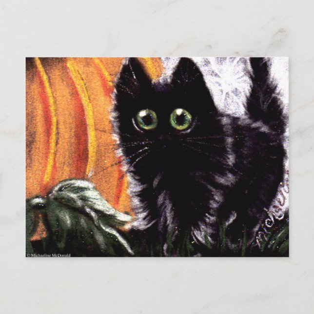 Halloween Black Cat Who Dat Scaredy Cat Postcard Postkarte (Vorderseite)