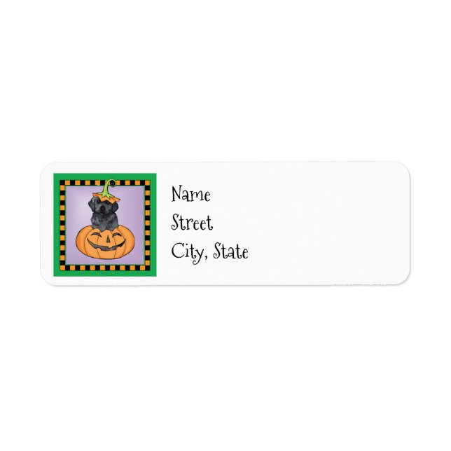 Halloween Black Lab (Vorne)