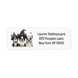 Halloween Boston Terrier Dogs