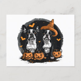 Halloween Boston Terrier Dogs Postkarte