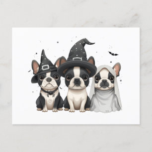 Halloween Boston Terrier Dogs Postkarte