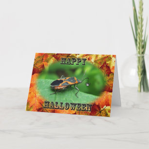Halloween Box Elder Bug Card Karte