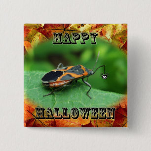Halloween Box Elder Bug Coordinated Items Button