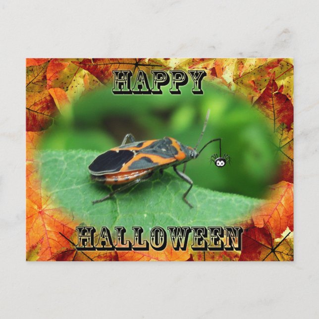 Halloween Box Elder Bug Coordinated Items Postkarte (Vorderseite)