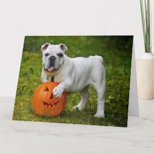 Halloween-Bulldogge Karte