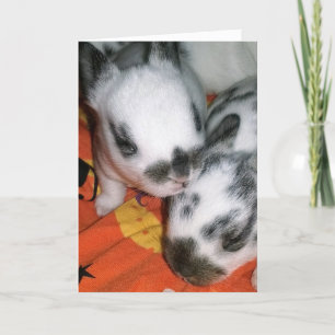 Halloween Bunnies Karte