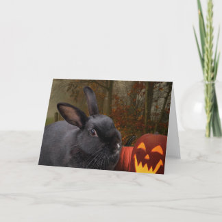 Halloween Bunny Feiertagskarte