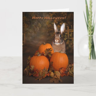 Halloween Bunny in einem Pumpkin-Patch Karte