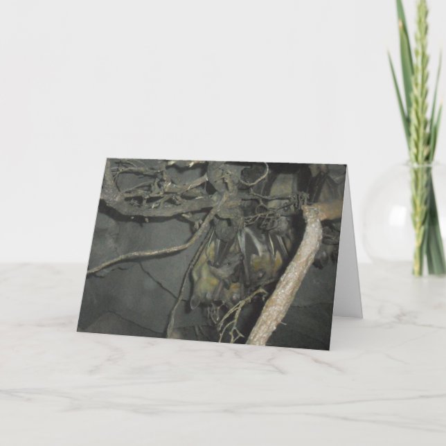 Hallowe'en card "Fruchtbats" Karte (Vorderseite)