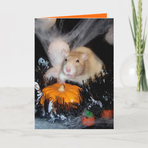 Halloween Card Karte