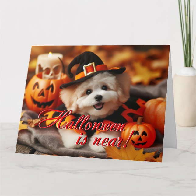 Halloween Card Maltipoo Hund Karte (Vorderseite)