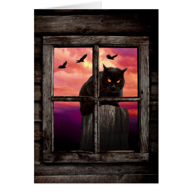 Halloween Cat (Vorne)