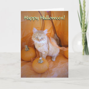 Halloween Cat Card Karte